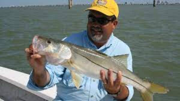 Is Snook Good To Eat