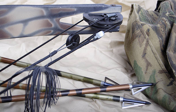 Do You Need An Arrow Rest On A Compound Bow? How To Choose?