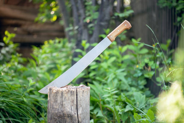 How to Sharpen Machete: Step-by-step Guide