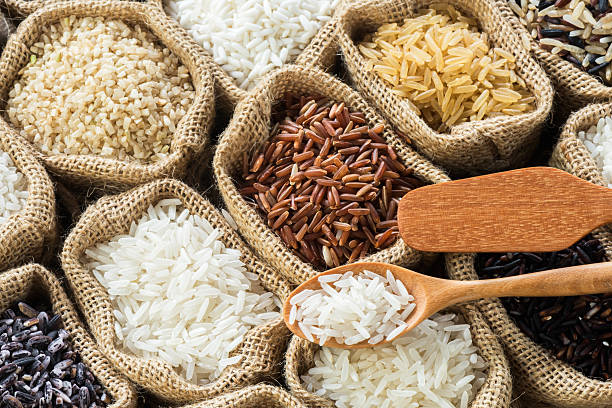 Does Rice Turn Into Maggots? (All You Need To Know)